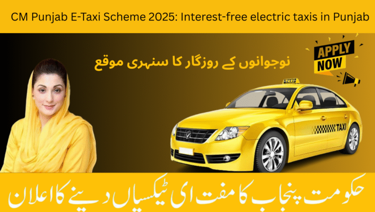CM Punjab E-Taxi Scheme 2025