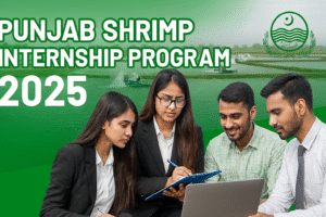 Read more about the article Punjab Shrimp Internship Program 2025 – Apply Online & Get Rs. 100,000 Stipend