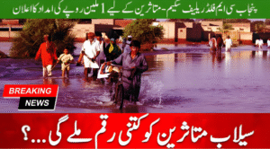 Read more about the article Flood Rehabilitation Program (Punjab) 2025: Objectives, Benefits, Eligibility & Complete Support Plan